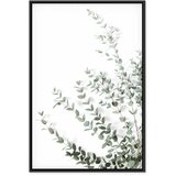  Slika - Eucalyptus Parvifolia (1 Part) Vertical 80x120 | shoptok.hr