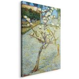 Slika - Vincent van Gogh – Blossoming Pear Tree 60x90 Na talijanskom platnu | shoptok.hr