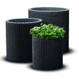 Keter Set okrasnih loncev Cylinder S+M+L, siva | Shoptok.si