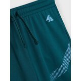 Sinsay Brzo sušeće Active sportske kratke hlače | shoptok.hr