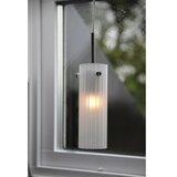 Markslöjd 109014 - Luster na sajli TIBIA 1xE14/40W/230V mesing | Eponuda.com
