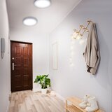 BRILONER 7143-414 - led plafonsko svetlo fire LED/24,5W/230V 4000K | Eponuda.com