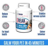 GIGI da-ba relax plus za smirenje 90 tableta Cene