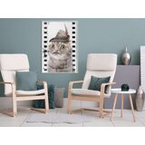  Poster - Dressed Up Cat 20x30 | shoptok.hr