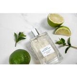 Cremo Spray Cologne Citrus & Mint Leaf toaletna voda za moške 100 ml | Shoptok.si