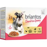 briantos Chunks in Gravy 12 x 100 g - Piletina i mrkva | shoptok.hr