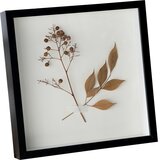 INF Kvadraten enojni votli lesen okvir za suho cvetje in DIY obrt Black 9 palcev, (5000076296) | Shoptok.si