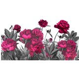  Tapeta XXL - Lush meadow 500x280 | shoptok.hr