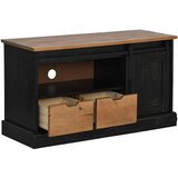 vidaXL TV omarica HALDEN z drsnimi vrati črna 110x40x60 cm masivni les | Shoptok.si