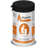 FIAMMINA Prah za čišćenje dimnjaka Fiammina Rapido (270 g, Namijenjeno za: čišćenje dimnjaka) Cijene