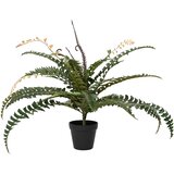  Umjetna paprat drvo Zelena 58 x 13 x 60 cm Tkanina i PE | shoptok.hr