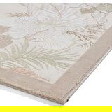 Think Rugs Kremno bela preproga 120x170 cm Tropicana Bronze – | Shoptok.si