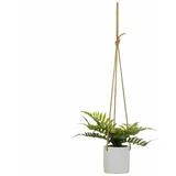 Casa Selección Umjetna biljka (visina 24 cm) –