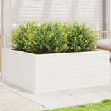 Maison Chic Vrtno cvetlično korito - Cvetlični Lonec belo 110x110x46 cm trdna borovina, (21790184) | Shoptok.si