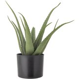 Bloomingville Umetna rastlina (višina 61 cm) Aloe – Cene