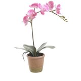  ORHIDEJA 33CM PINK | Eponuda.ba