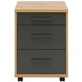 Cantus PREDALNIK NA KOLESCIH antracit, hrast artisan | Shoptok.si