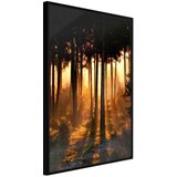  Poster - Dark Tree Tops 40x60 Cijene