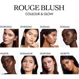 Dior Rouge Blush Colour & Glow multifunkcionalna paleta nijansa 757 Wil8 g | shoptok.hr