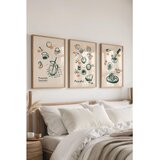 WALLXPERT Ç-300434 - 3040 multicolor dekorativni set slika (3 komada) | Eponuda.com