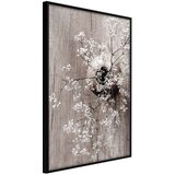  Poster - Reminiscence of Spring 20x30 | shoptok.hr