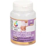Acidophilus-Bifido kompleks - 60 Kapsule