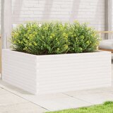 vidaXL vrtno cvetlično korito belo 110x110x46 cm trdna borovina, (21266459) | Shoptok.si