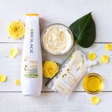 Biolage Essentials SmoothProof šampon za zaglađivanje za neposlušnu i anti-frizz kosu 250 ml | shoptok.hr