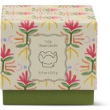 Paddywax Tulip Bronzed Gardenia di&amp;scaron;eča sveča 155 g Slike