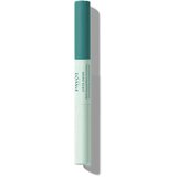  Pate Grise Stylo Duo Purifiant Correcteur 2x3ml Cijene