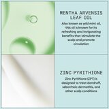 Nioxin Scalp Recovery Scalp Soothing Serum pomirjajoči serum za občutljivo in razdraženo kožo 100 ml | Shoptok.si