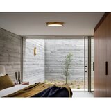  APLED - LED plafonsko svetlo RONDO LED/24W/230V prečnik 30 cm hrast | Eponuda.com