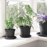  Kružni Pladanj za Cvijeće 6 pcs Crna Ø 14 x 2 cm Plastika | shoptok.hr