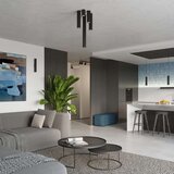  Stropna svetilka KARBON 60 črna, (21626900) | Shoptok.si
