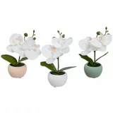 Casa Selección Umjetne biljke u setu 3 kom (visina 15 cm) Orchid –