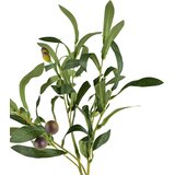 Mondex umetna veja plastika Viridis Oljka 90cm zelena 1kos, (5000329489) | Shoptok.si