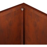  Vrtna saksija Rđa 25 x 25 x 25 cm Otporni čelik | shoptok.hr