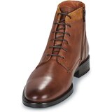Kost Polškornji HOWARD 2 35 anjeva | Shoptok.si