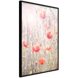  Poster - Poppies 20x30 | shoptok.hr