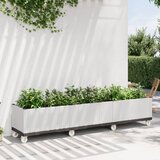  Cvetlično korito s kolesi belo 240x50x54 cm PP | Shoptok.si