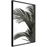 Poster - Jungle Scent 30x45 Cijene