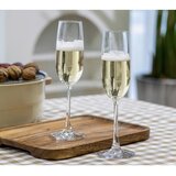 Echtwerk Set Kozarcev Wine, 6-Delni | Shoptok.si