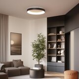  Brilagi - LED prigušiva plafonska svetiljka FALCON II LED/99W/230V Ø 60 cm crna +daljinski upravljač | Eponuda.com