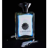 Amouage Portrayal Man parfumska voda 100 ml za moške | Shoptok.si