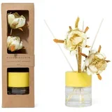 Osvežilec zraka Reed Diffuser 100ml+palčke / limeta / steklo, les, (5000197997)