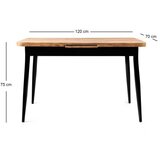 Hanah home Ay - 1184 Atlantic Pine Extendable Dining Table | ePonuda.com