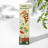  Svinčniki s semeni Sprout Pizza (5 kosov) | Shoptok.si
