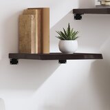  Zidna polica tamnosmeđa 40x40x(2-4) cm od obrađene hrastovine | shoptok.hr