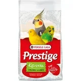 Shell Kristalni pesek 5 kg