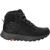 Jack Wolfskin Muške čizme Terraquest X Texapore mid Cene
